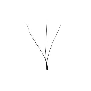 3D W Lash Extensions Greece Premade 0,07 W shaped